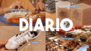 Vlog Diário  Compras ADIDAS DAISO AMAZON  Rotina Decor Comida Gata  Ofner Tour Moema  São Paulo [upl. by Cianca267]