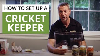 Cricket Keeper  Feeder Crickets  How to Keep Crickets Alive [upl. by Suiradal334]