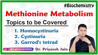 Methionine Metabolism  Homocystinuria Cystinuria Garrods tetrad  Medical Biochemistry [upl. by Auqemahs]