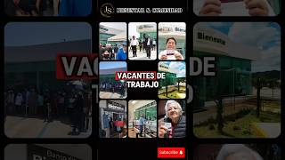 🙏Banco del Bienestar ofrece VACANTES de TRABAJO estos son los Requisitos [upl. by Yeldnarb]