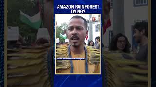 Amazon In Danger  Indigenous Community Demands Action Against Amazon Deforestation Brazil forest [upl. by Artemis]