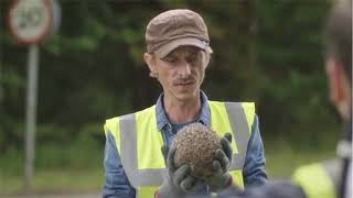 BBC Detectorists Hedgehog Season 3 Episode 5 [upl. by Arhez297]