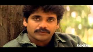 Antham Movie Scenes  Nagarjuna amp Urmila Love Scene  Ram Gopal Varma [upl. by Timothea361]