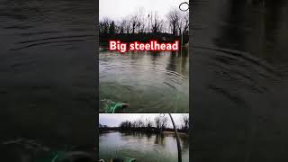 Big Steelhead Bobber down [upl. by Rehotsirhc]