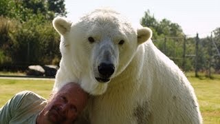 Man cuddles polar bear  Animal Odd Couples Episode 2 Preview  BBC One [upl. by Canica775]