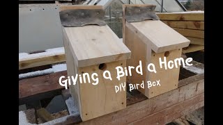 How To Make a Birdbox using RSPB Plans DIY [upl. by Aratihc]