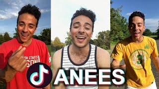 BEST Anees TikTok Compilation 2020 part 1 [upl. by Larissa]