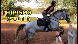 Hipismo Clássico Salto [upl. by Nylinej]