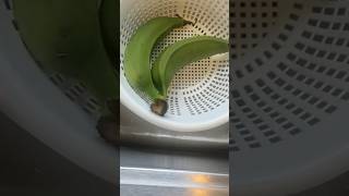 What to do Before Cooking Green Plantains amp Bananas shorts greenplantains [upl. by Hosea]