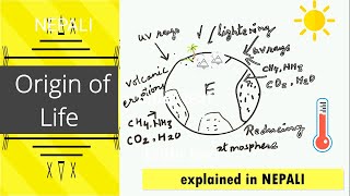 Biochemical origin of life NEB Biology 11 Part 1 Oparin and Haldanes theory [upl. by Volny]