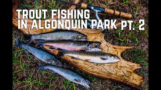 Algonquin Park Spring Brook Trout Fishing with Ted Baird amp My Self Reliance Pt 2 [upl. by Nitza]