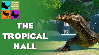 THE REPTARIUM  TROPICAL HALL  EP13  EAST LAKE ANIMAL EDUCATION CENTRE  PLANET ZOO [upl. by Derwin32]