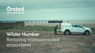 Wilder Humber Restoring interconnected ecosystems [upl. by Aitnahs]