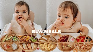 Easy Baby Led Weaning Meals  My Babys Favorite Foods For Breakfast Lunch amp Dinner [upl. by Lucrece514]