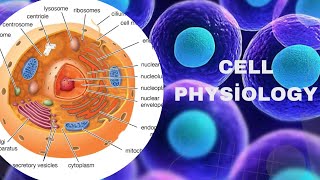 CELL PHYSIOLOGY  NOTES [upl. by Illehs336]