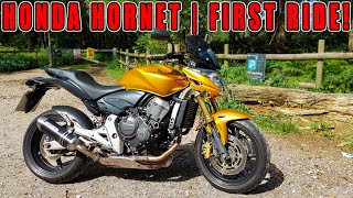 Honda Hornet CB600F  FIRST RIDE [upl. by Amadus]