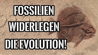 Wo sind die Beweise für die Evolutionstheorie Wo sind die vielen Fossilien mit Übergangsformen [upl. by Ymer]