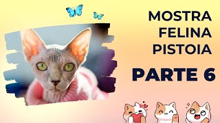 Mostra felina Pistoia parte 6 mostra di gatti😻​😸​😽​🙀​ [upl. by Caron]