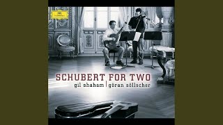 Schubert Schwanengesang D957 Cycle  Serenade Ständchen D 9574 [upl. by Gian]