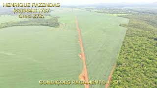 FAZENDA 146 ALQUEIRES PLANTANDO NO TOCANTINS 350 HECTARES 63984111737 [upl. by Neuburger]