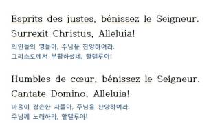 Vous les cieux bénissez le Seigneur Surrexit Christus Alleluia 그리스도 부활하셨네 français Coree [upl. by Acirahs]