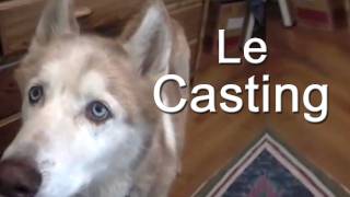 LE CASTING  PAROLE DE CHIEN [upl. by Oys]