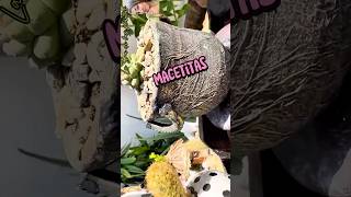 Macetitas originales jardines diy plantas [upl. by Herta]