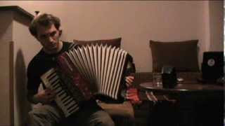 Nina Simone  Feeling Good  Accordion improvisation [upl. by Rot542]