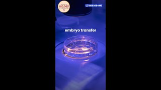 Is the embryo transfer procedure that simple [upl. by Asirram]