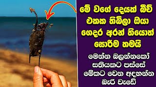 ඔබ මේවා දකින්නේ ජිවිතේ පළමු වතාවට EP384 [upl. by Aneleve617]