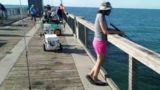 Navarre Fishing Pier  April 15 2024 [upl. by Nawor]