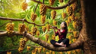 Harvesting Langsat Fruit amp Goes To Market Sell  Gardening And Cooking  Lý Tiểu Vân [upl. by Ganny405]