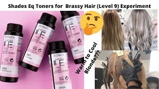 Shades Eq Toners for Brassy Hair Level 9 Experiment [upl. by Alilahk]