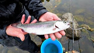 Bass Fishing with LIVE Trout GIANT Bites [upl. by Kristyn]