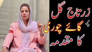 Zartaj GuL pr گائے Chori ka مقدمہ darj  Imran Khan sy Wafa [upl. by Mathias]