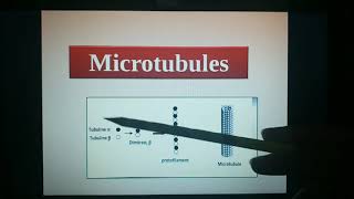 le 3eme cours de BIOLOGIE CELLULAIRE Cytologie partie 13 [upl. by Jillana]