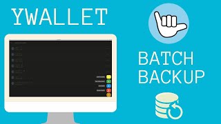 Ywallet Tutorial  Batch Backup 💾 [upl. by Abeh257]