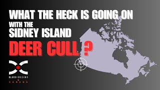 Whats Going on with the Sidney Island Deer Cull [upl. by Esten621]