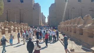 Rams RoadSphinx Street – Avenue of Sphinxes in Karnak Temple Luxor ancient Egypt [upl. by Sorgalim]