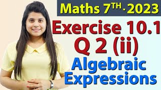 Q 2 ii Ex 101  Algebraic Expressions  Chapter 10  Maths Class 7th  NCERT [upl. by Nauqyt]