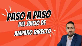 Procedimiento del juicio de amparo directo [upl. by Knox869]