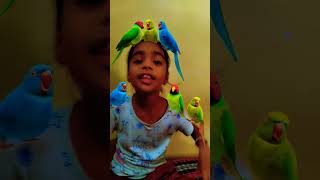 Main tota main tota 🦜🐦 maintota videoforkids hamarijinisha hamarijinisha [upl. by Consolata]