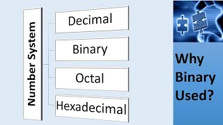 Computer Number Systems  DecimalBinaryOctalHexa  Why Binary IGCSE  ALevel  9th Class [upl. by Mya435]