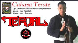 Lagu Terjal PSHT  Judul Cahaya Terate [upl. by Nocaj131]