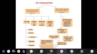 Polysaccharides chemistry [upl. by Rabiah811]