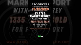 Cattle Market Report Part 2  Producers Livestock Auction San Angelo  112224 cowboys beefprices [upl. by Lytsirk]