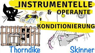 Instrumentelle amp operante Konditionierung  Skinner Thorndike und der Behaviorismus [upl. by Clemmie]