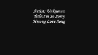 Im So Sorry Hmong love song [upl. by Narba302]