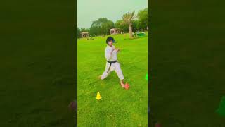 Gyaku Zuki Punch In Karate With Footwork🧎👊🥋💯 youtubeshorts motivational shorts viral wkf [upl. by Ashely]