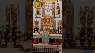 The Holy Sacrifice of the Mass celebrated in the Palmarian Catholic Church Germany [upl. by Sivrahc]